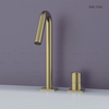 Pull-out 2 Hole Basin Mixer